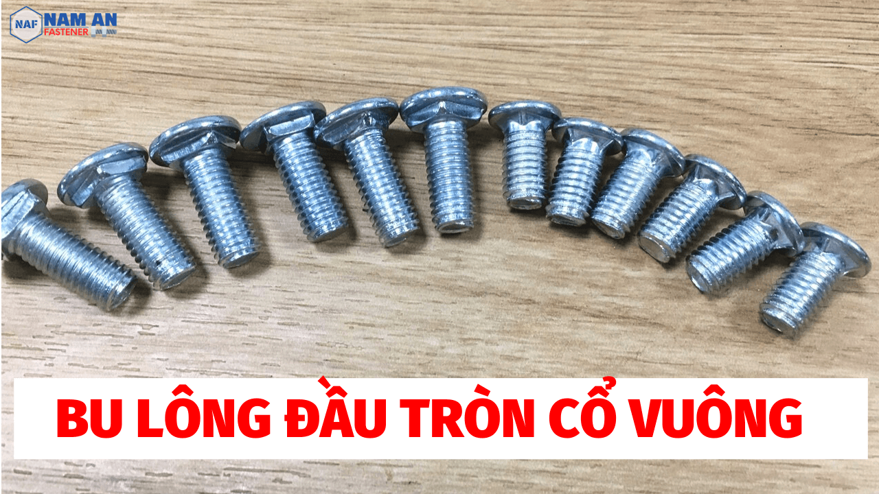 bu-long-dau-tron-co-vuong