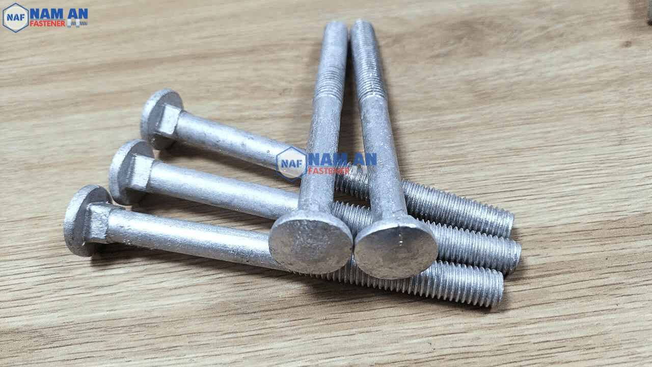 bu-long-dau-tron-co-vuong