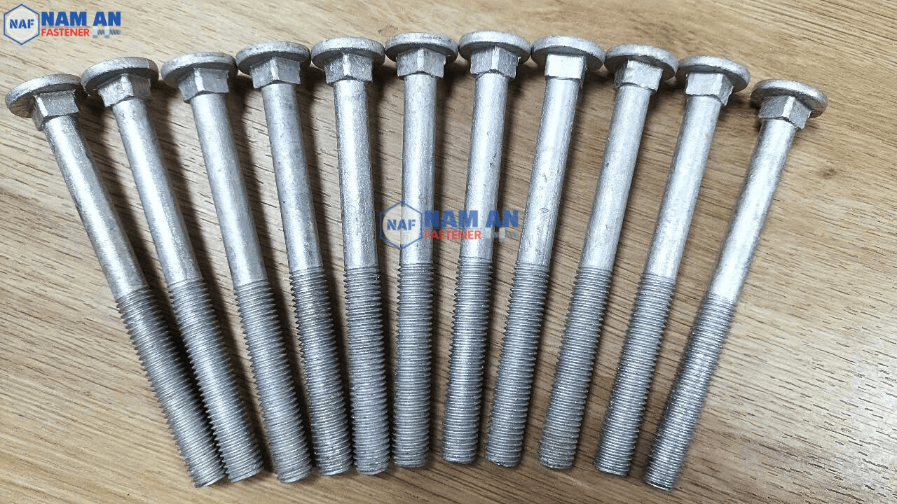 bu-long-dau-tron-co-vuong